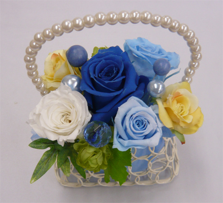 ��t���ԁ@�v���U�[�u�h�t�����[/�p�[���o�b�N�@�u���[